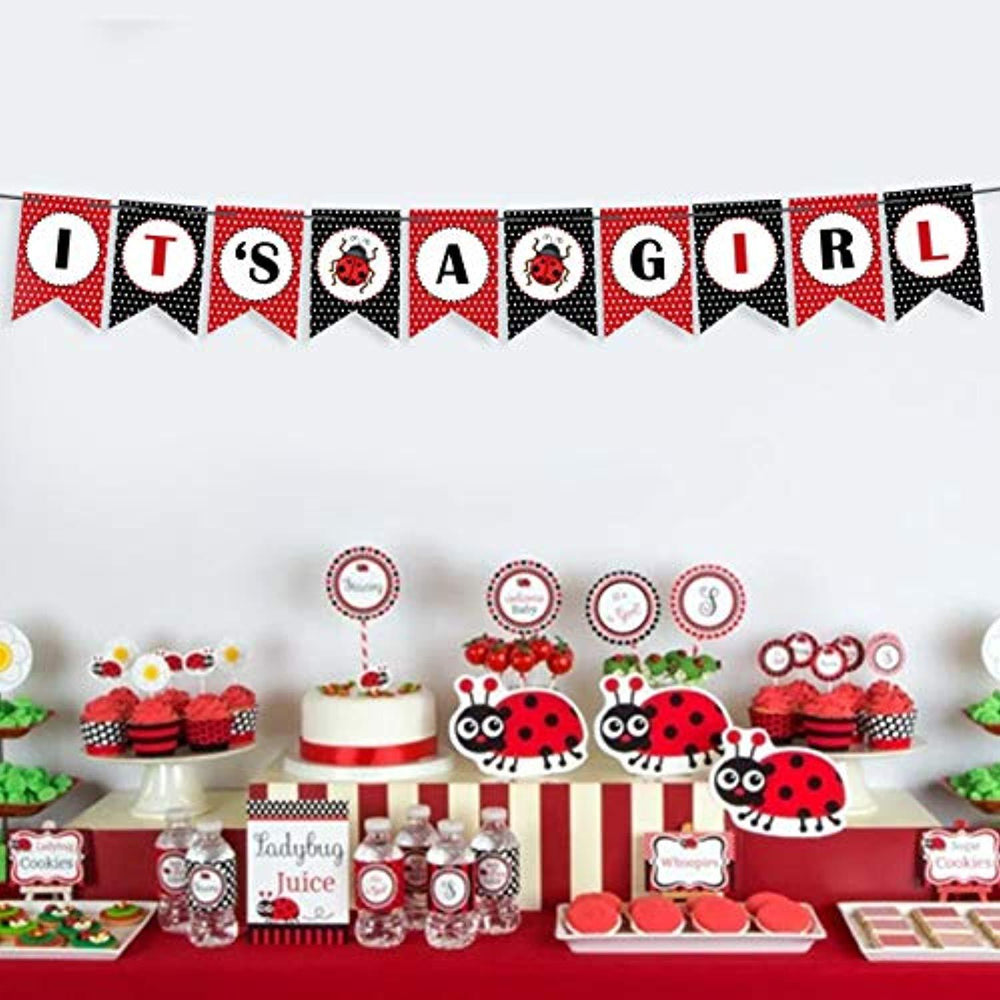 Ladybug Party Supplies in Party & Occasions 