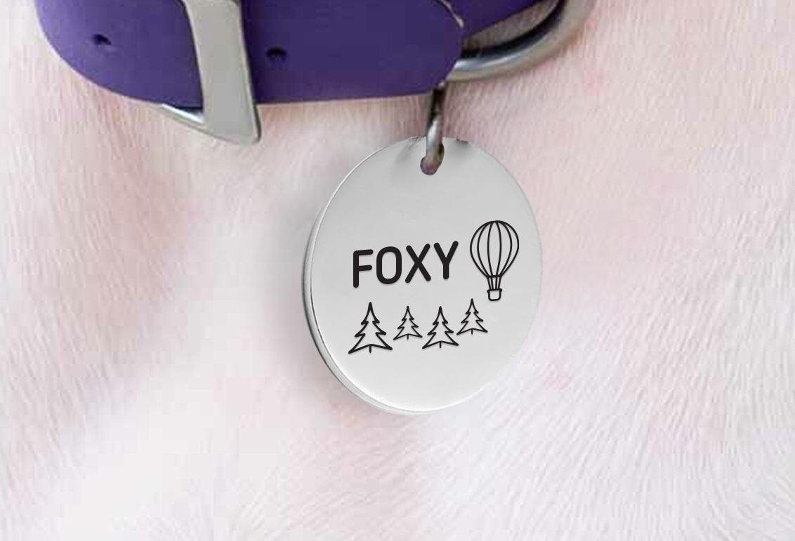 Christmas Dog Collar Gifts  Hot Air Balloon Pet ID Name Tag Collar Gift –  BOSTON CREATIVE COMPANY